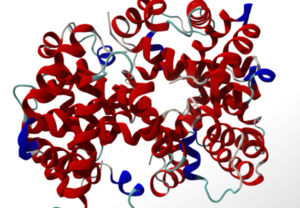Hemoglobin